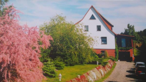 Apartments Achterblick, Ückeritz
